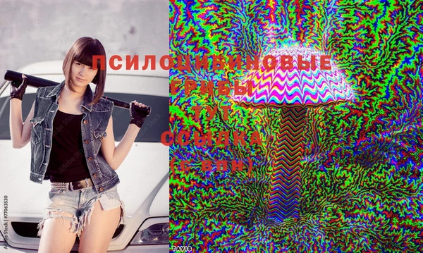 спайс Кулебаки