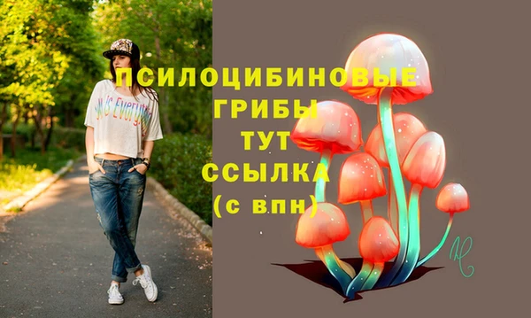 спайс Кулебаки