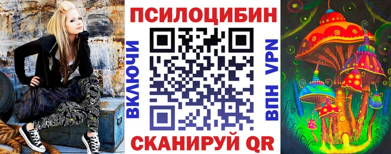 Галлюциногенные грибы Psilocybe  Нововоронеж 