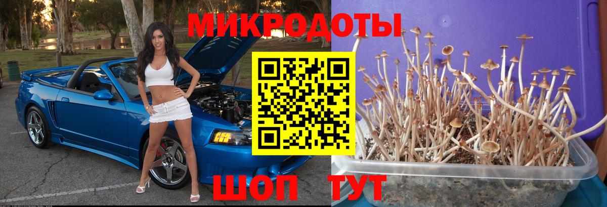 Псилоцибиновые грибы мицелий  Вход с VPN  Нововоронеж 