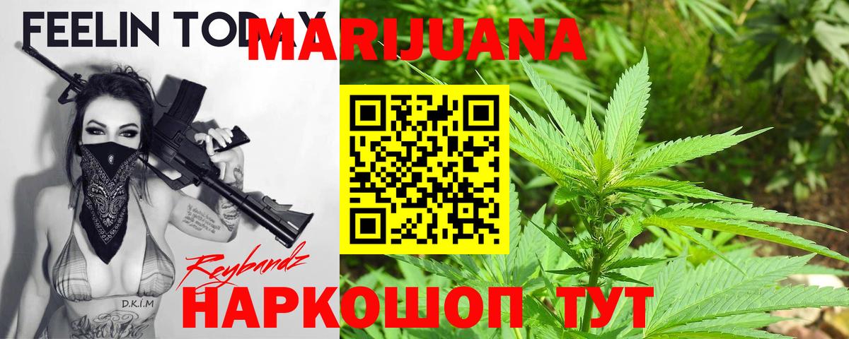 Каннабис конопля  Каннабис планчик  Нововоронеж 