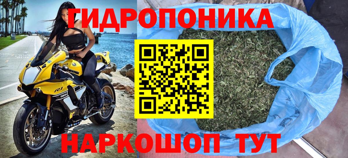 Конопля Bruce Banner Нововоронеж